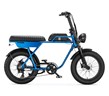 AGM Fat bike GT 250 