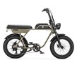 AGM Fat bike GT 250 