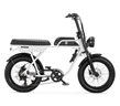 AGM Fat bike GT 250 